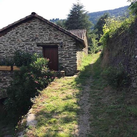 Maison Rurale Au Coeur Des Cevennes Ardechoises Dompnac エクステリア 写真