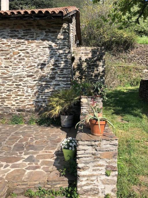 Maison Rurale Au Coeur Des Cevennes Ardechoises Dompnac エクステリア 写真