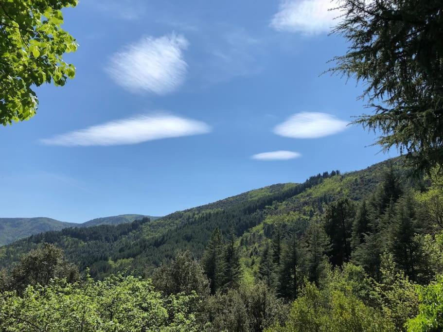 Maison Rurale Au Coeur Des Cevennes Ardechoises Dompnac エクステリア 写真