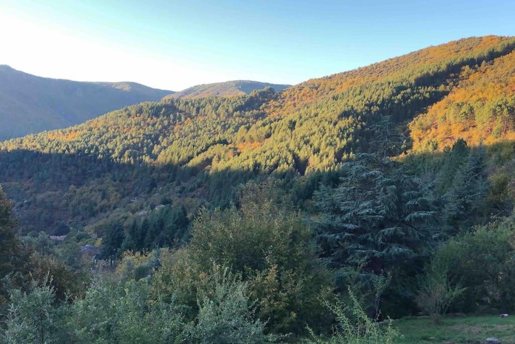 Maison Rurale Au Coeur Des Cevennes Ardechoises Dompnac エクステリア 写真